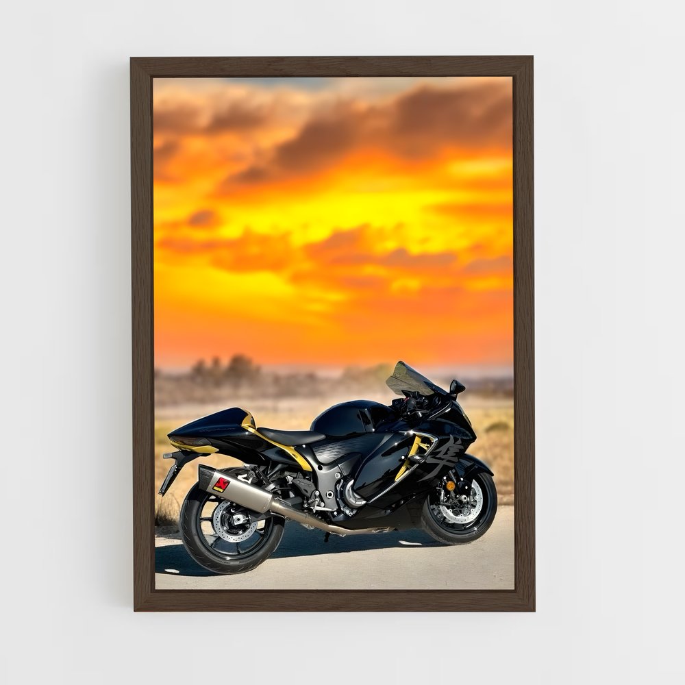 Poster Hayabusa génial (vue 5)